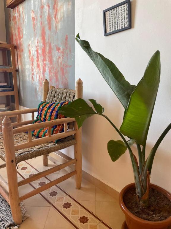 Bed and breakfast Surf Camp Essaouira Extérieur photo